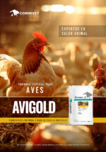 AVIGOLD - Imagen 4